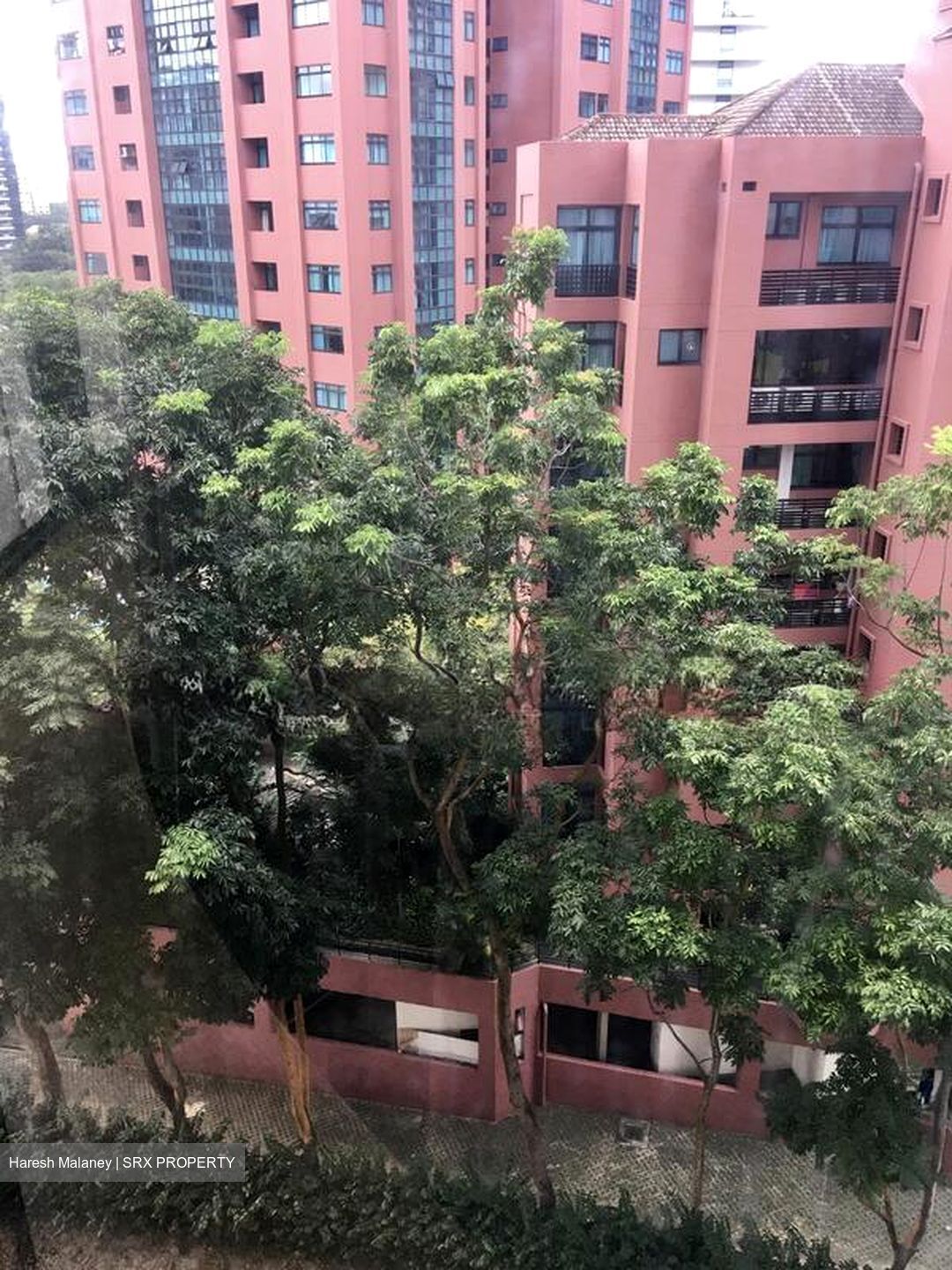 Leonie Gardens (D9), Condominium #499224491